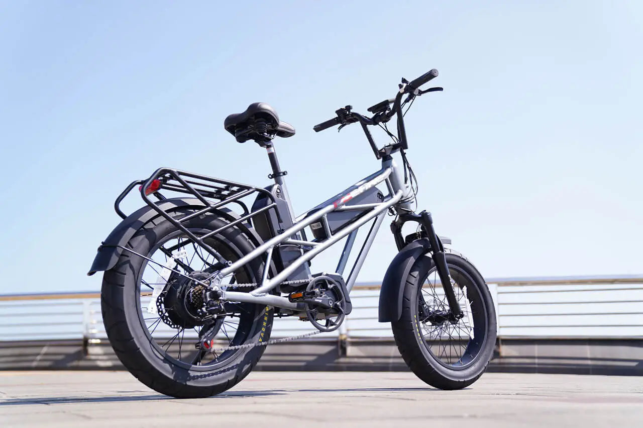 750 watt electric bicycle D5(Zebra) / All-terrain Fat Bike, Space Grey Rambo chose to use Bafangs legendary BBS02 powerful mid OUXI Electric Bike for Adults,