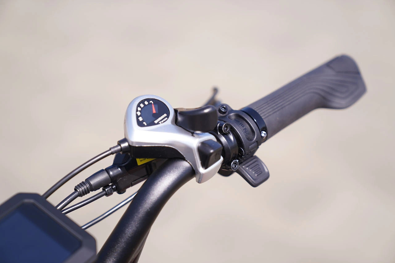 Throttle electric bike sale