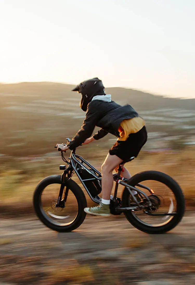 FUCARE TAURUS electric mountain bike