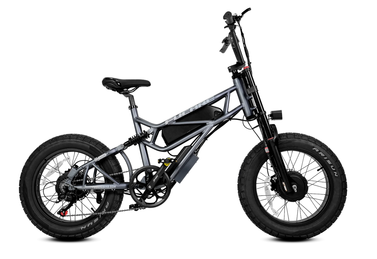 Dual Motor / Graphite Gray